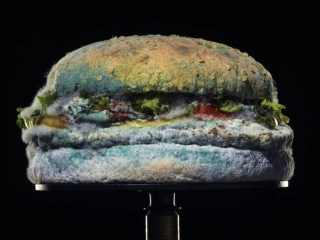 Brave or an ad industry in-joke? Burger King's mouldy Whopper